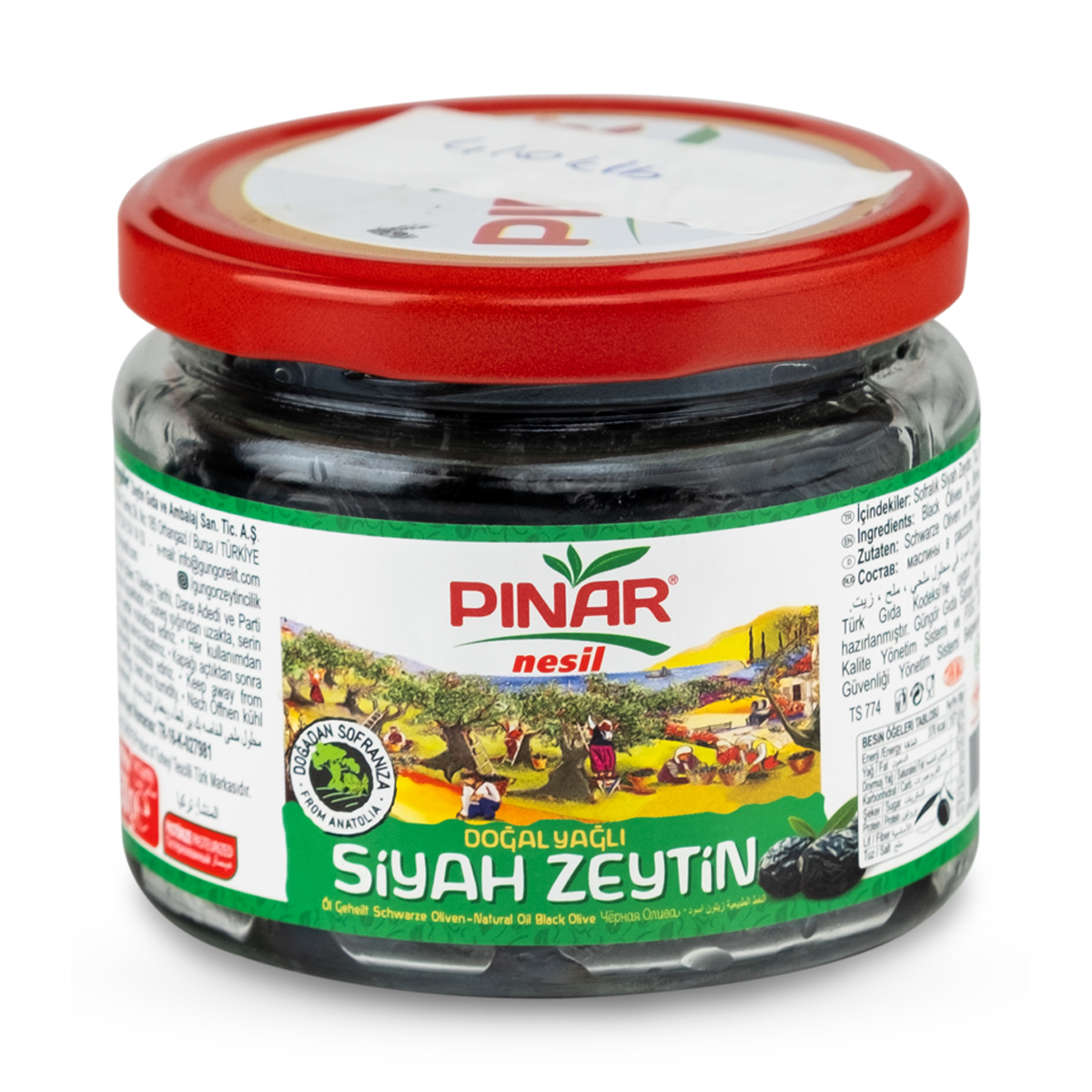 Pınar Nesil 425 cc Cam